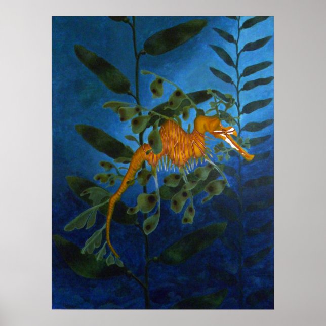 Poster Sea Dragon (Devant)