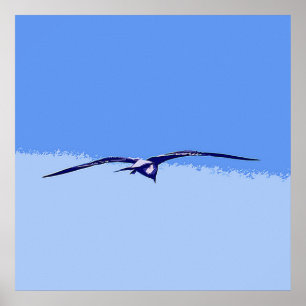 Poster Sea Gull In Flight
