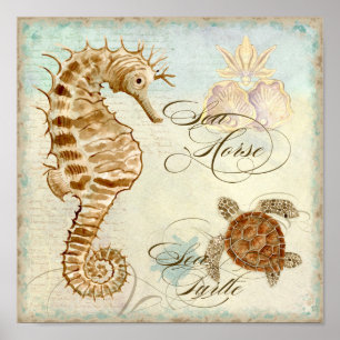 Poster Sea Horse, Sea Turtle Plage côtière - Art