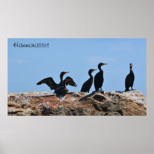 Poster Seabird