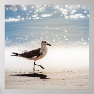 Poster Seagull on Virginia Beach