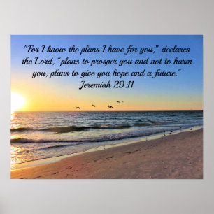 POSTER SEAGULLES ET LEVER JEREMIAH 29:11 BIBLE VERSE