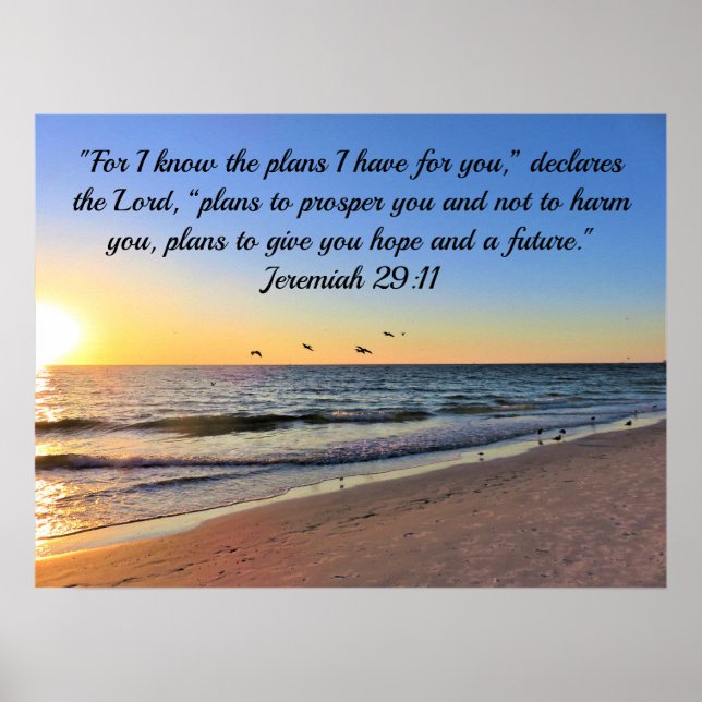 POSTER SEAGULLES ET LEVER JEREMIAH 29:11 BIBLE VERSE (Devant)