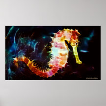 Seahorse