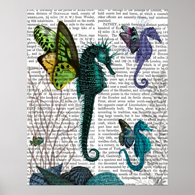 Poster Seahorse Trio Avec Ailes (Devant)