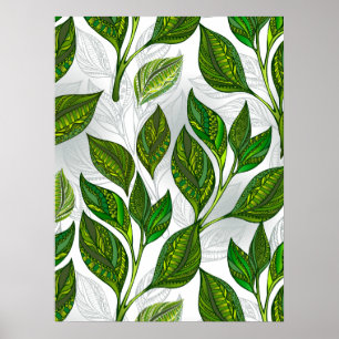 Poster Seamless Pattern with Green Tea Leaves