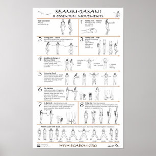 Poster Seamm-Jasani : 8 mouvements essentiels