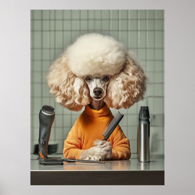 Poster Séance De Grooming De Poodle (Devant)