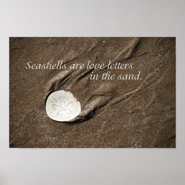 Poster Seashell (Devant)