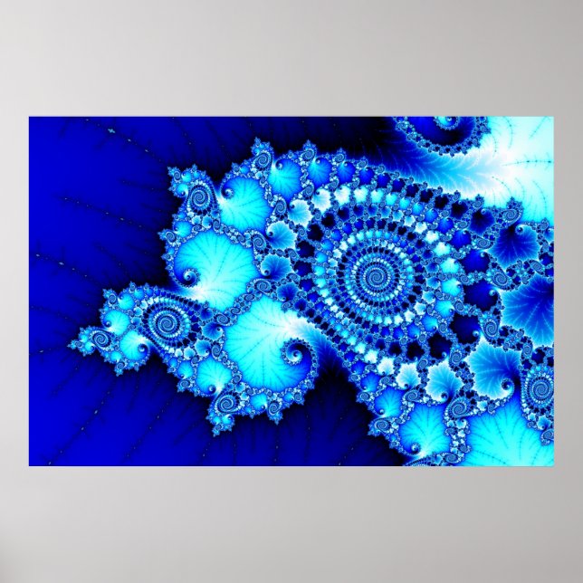 Poster Seashell (Devant)