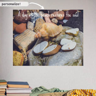 Poster Seashell at the Seashore