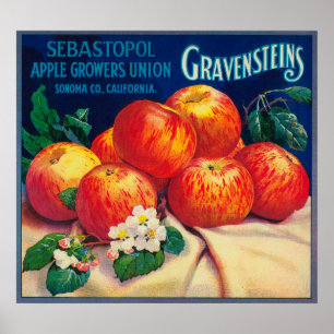 Poster Sebastopol Gravensteins Apple LabelSonoma, CA