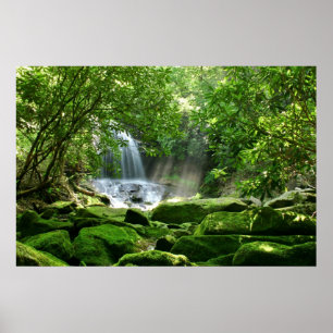 Poster Secret Paradise (Charlie Falls, Caroline du Nord)