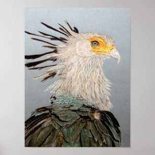 Poster Secrétaire Bird