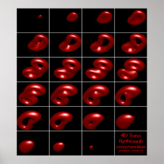 Poster section transversale 4d torus