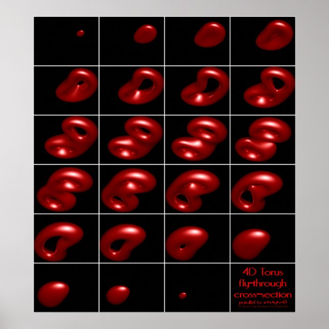 Poster section transversale 4d torus (Devant)
