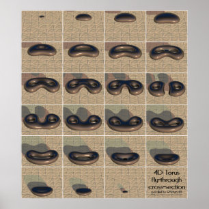 Poster section transversale du torus 4D