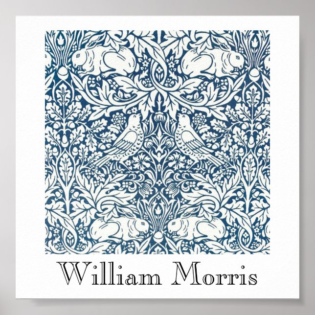 Poster - Seeking Acorns Design 2 (Front)