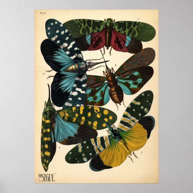 Poster Seguy Art Nouveau Vintage Lanternfly (Devant)