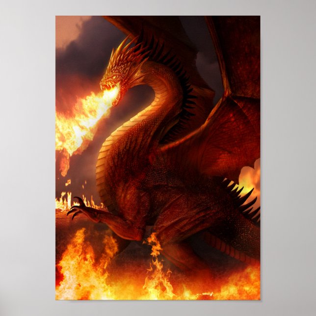 Poster Seigneur des Dragons (Devant)
