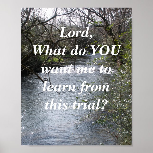 POSTER SEIGNEUR, QUE VEUX-TU QUE J'APPRENNE ? (Devant)