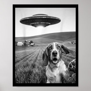 Poster Selfie avec un extraterrestre Ufo drôle pari amate