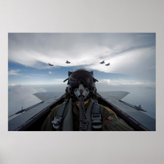 Poster Selfie Cockpit