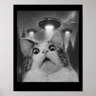 Poster Selfie De Chat Avec Ufos