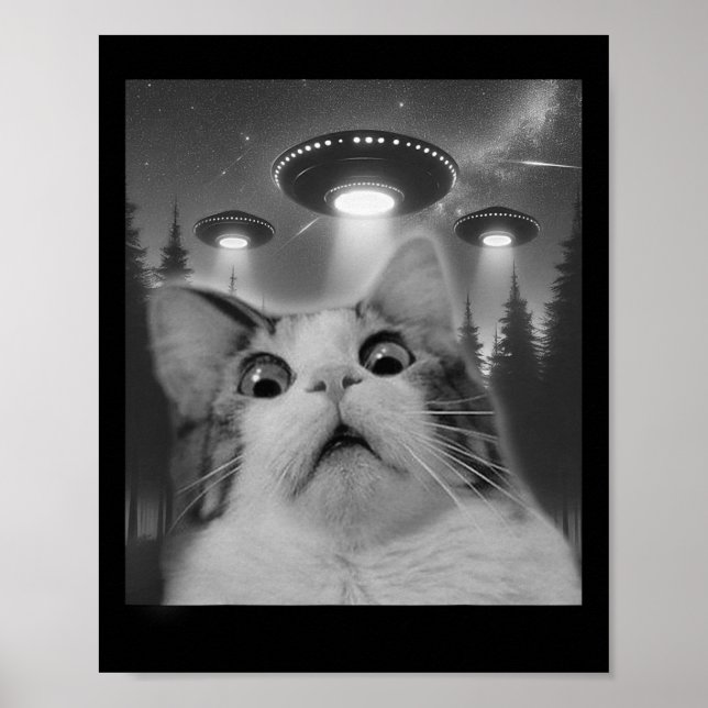 Poster Selfie De Chat Avec Ufos (Devant)