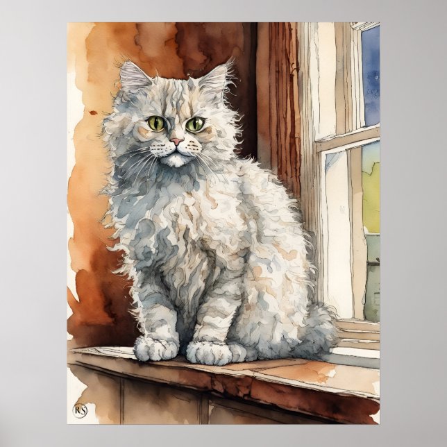 Poster Selkirk rex Chat - Art Chat (Devant)