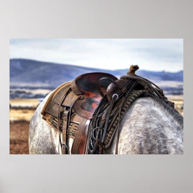 Poster Selle occidentale sur cheval gris (Devant)