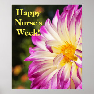 Poster Semaine heureuse d'infirmières ! infirmière RN