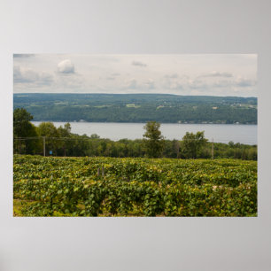 Poster Seneca Lake and Vineyards, New York