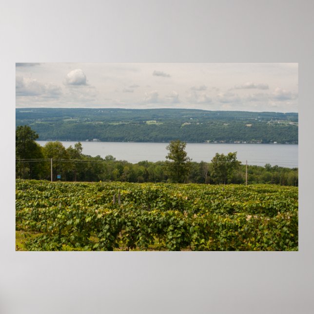 Poster Seneca Lake and Vineyards, New York (Devant)