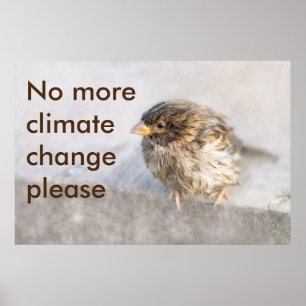 Poster Sensibilisation au changement climatique