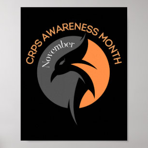 Poster Sensibilisation aux Crps - syndrome de douleur rég