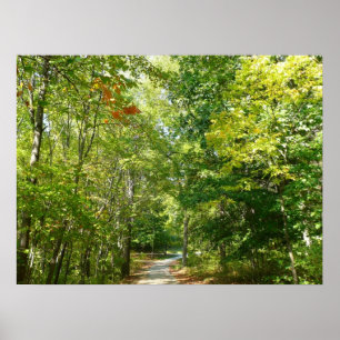 Poster Sentier boisé du centenaire à Ellicott City Nature