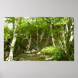 Poster Sentier de découverte de Frazier à Shenandoah Phot