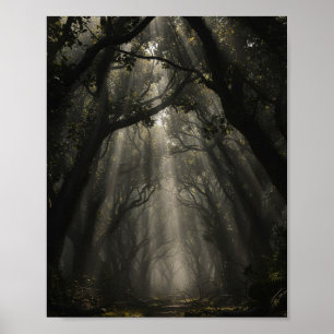 Poster Sentier de la Forêt Enchantée : Lumière Éthérée et