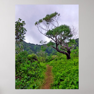 Poster Sentier de randonnée hawaïen