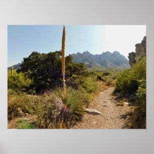 Poster sentier du désert avec yucca et montagnes