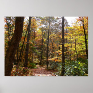 Poster Sentier ensoleillé d'automne dans le parc d'État d