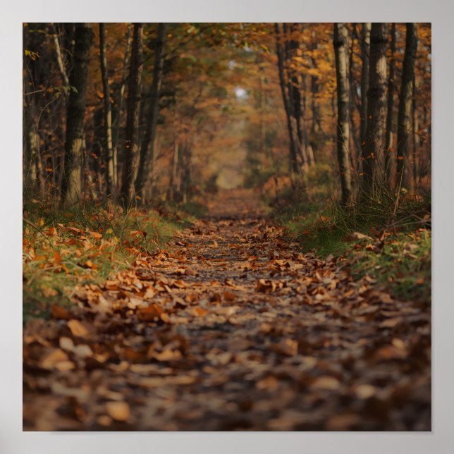 Poster Sentier forestier automnal (Devant)