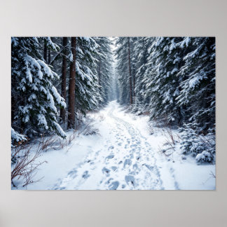 Poster Sentier forestier enneigé en hiver avec des emprei