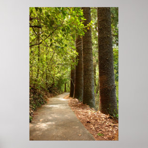 Poster Sentier forestier mystérieux