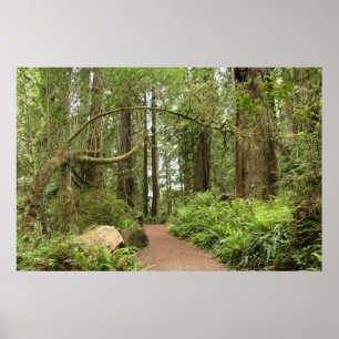 Poster Sentier Karl Knapp