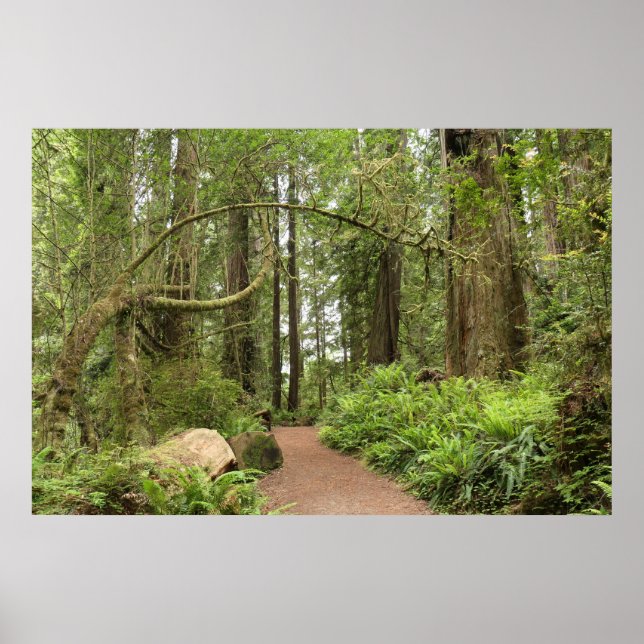 Poster Sentier Karl Knapp (Devant)