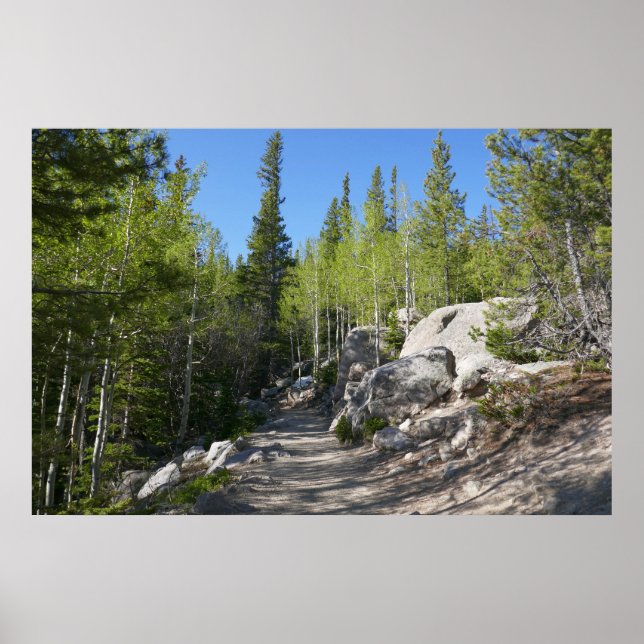 Poster Sentier pour Alberta Falls (Devant)