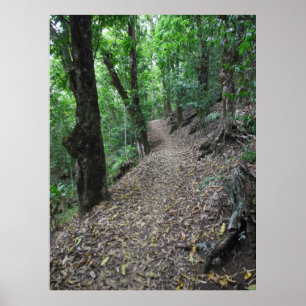 Poster Sentier Randonnée hawaïen