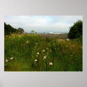 Poster Sentier Yurok Loop au parc national de Redwood